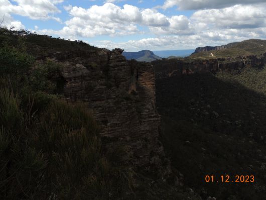 Blue Mountains Boarhead